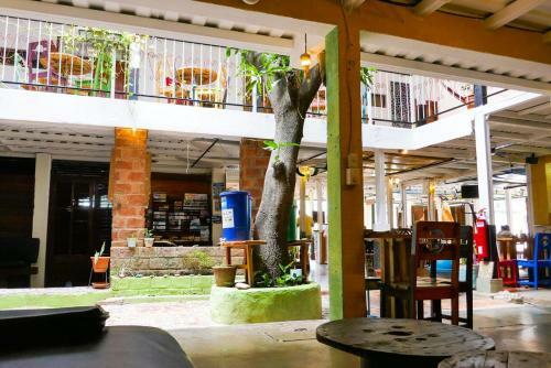 Casa Oro Eco Hostel