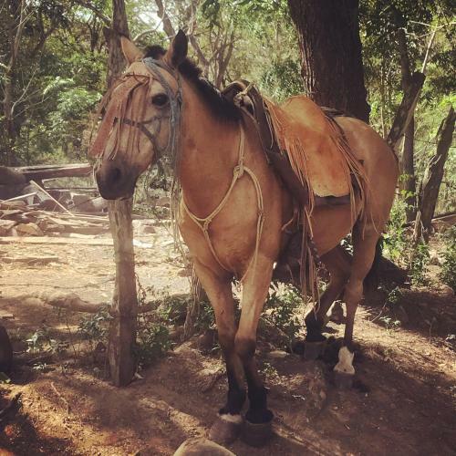 La Finca Esperanza