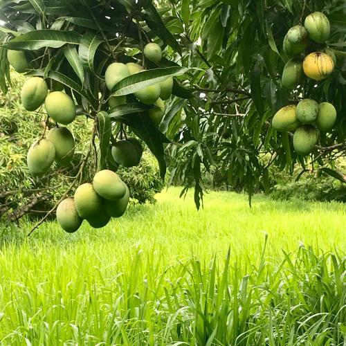 La Finca Esperanza