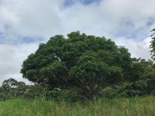 La Finca Esperanza