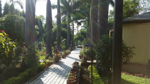 Hotel Royal Tiger Safari Resort