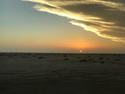 Sandy Shores