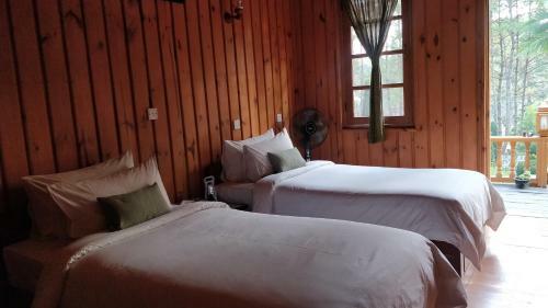 Bed & Breakfast Hillock Villa
