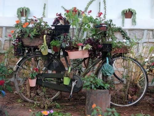 Bed & Breakfast Hillock Villa