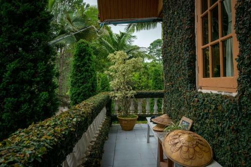 Bed & Breakfast Hillock Villa