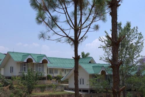 Hotel Pine Hill Resort