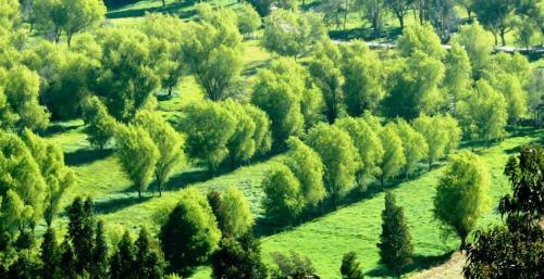 Hotel Termales El Batan
