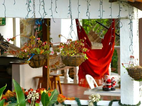 Hostal Silvania, Ferienhaus - Casa Campestre