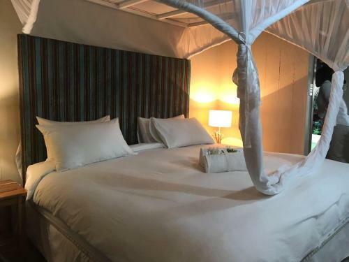 Hotel Aguia Negra