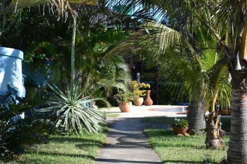 Lodge Bougainvilla Sol