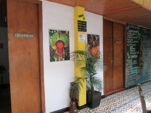 Hostal Coffee Town Hostel
