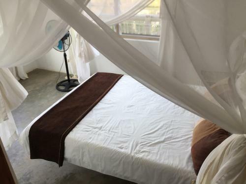 Hostal Top-of-the-dune Guesthouse