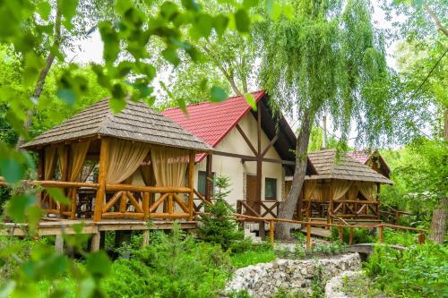 Lodge Pensiune Turistic? "hanul Lui Vasile"