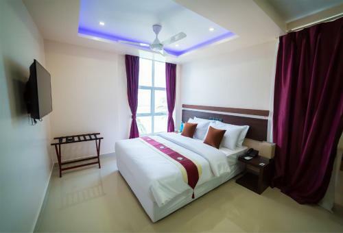 Hostal The White Harp Beach Hotel