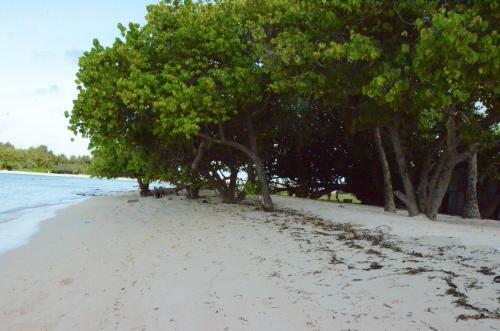Hostal Equity Beach Holiday Bungalow