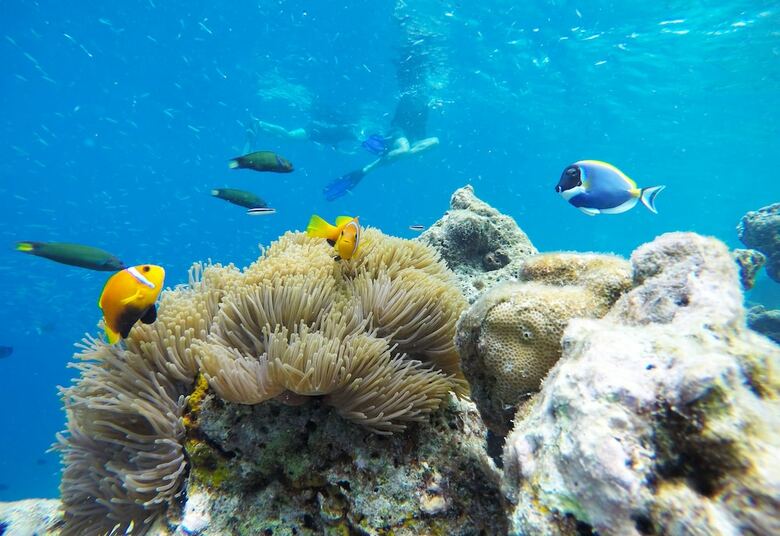 Hostal Kaafu Inn Guraidhoo