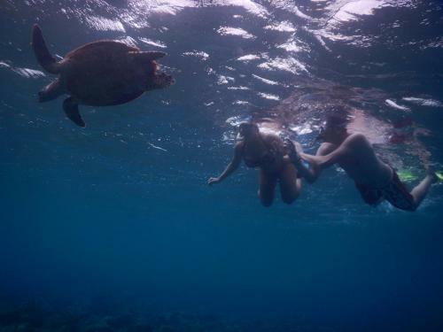 Hostal Equa Reef Maldives
