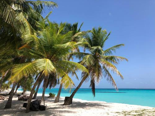 Hostal Waadhee Inn Vashafaru