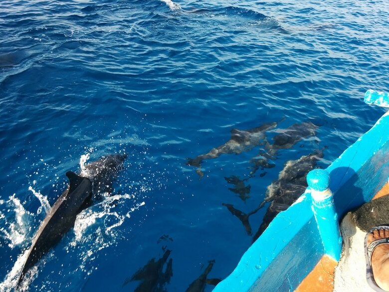 Hostal Vaali Beach Lodge Maldives