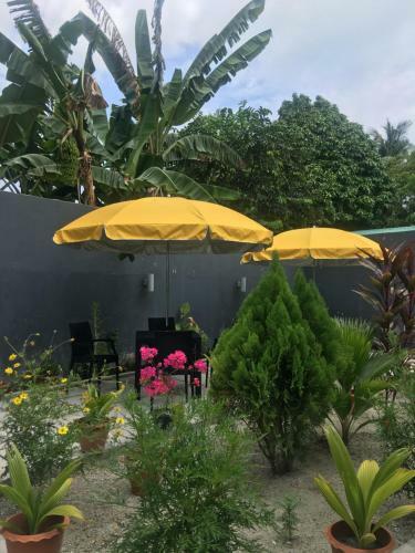 Hostal Equator Homestay