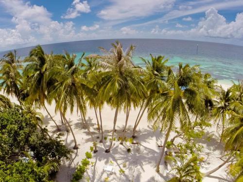 Hostal Crystal Sands
