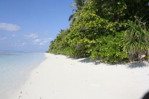 Hostal Boutique Beach All Inclusive Diving Hotel