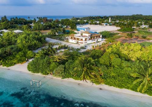 Hostal Olive Goidhoo