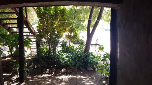 Mufasa Eco Lodge