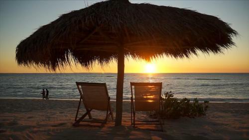 Hotel H�tel Safari Vezo Anakao