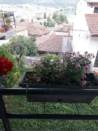 Hostal Bochkar Guest House
