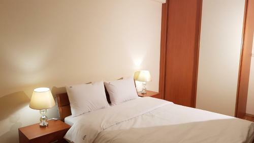 Golden Delight Central Apartment
