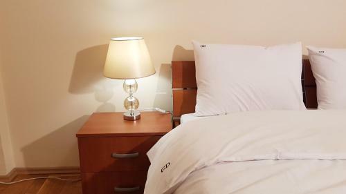 Golden Delight Central Apartment
