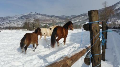 Agroturismo Nora`s Ranch