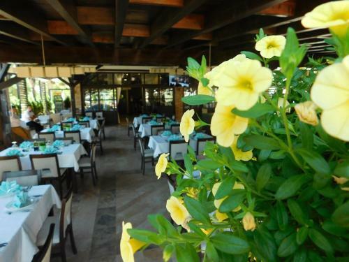 Hotel Gogov