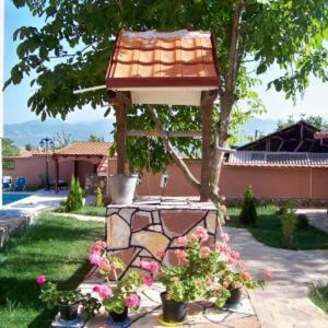 Apartments Dajana