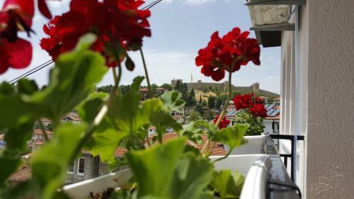 Hostal Villa Srma