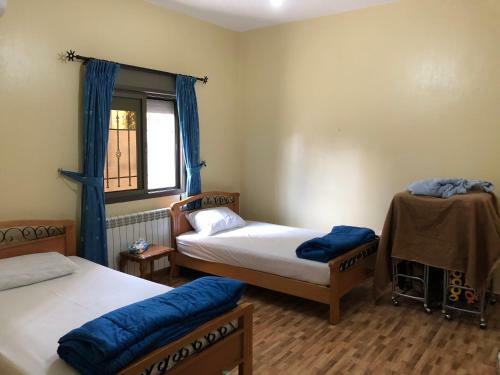 Hostal Honey Guesthouse
