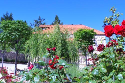 Hostal Ch�teau Sainte-andr�e
