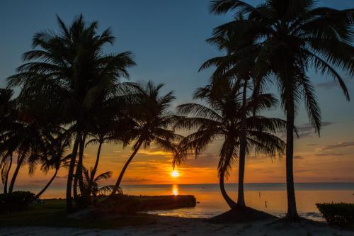 Costa De Cocos