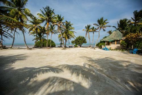 Costa De Cocos