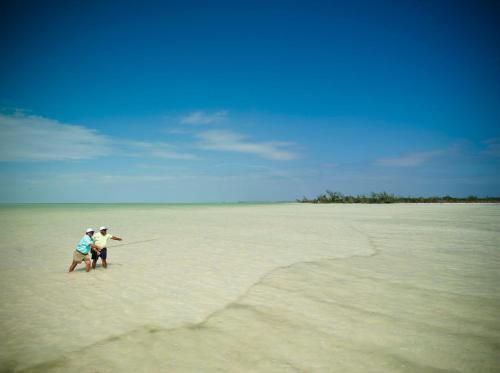 Costa De Cocos