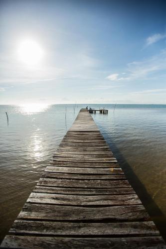 Costa De Cocos