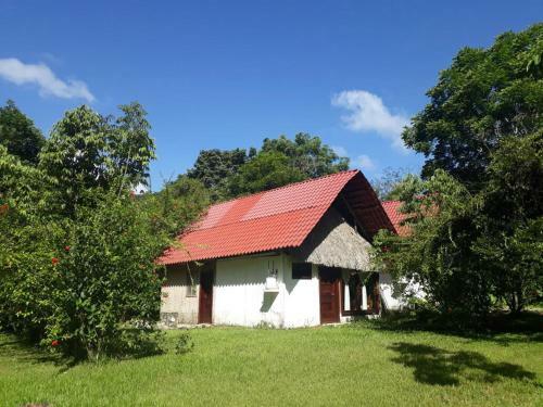 Ecolodge Resort Naha - Selva Lacandona
