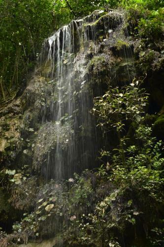 Ecolodge Resort Naha - Selva Lacandona