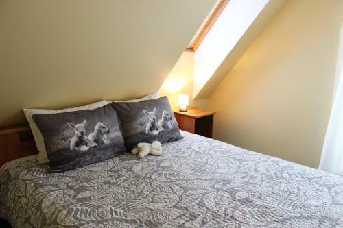 Hostal Hotel Senl??i