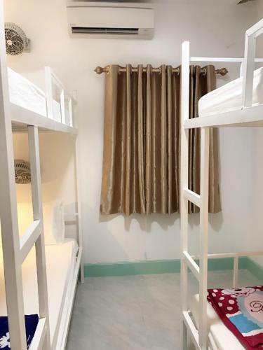 Downtown Backpackers Hostel 2