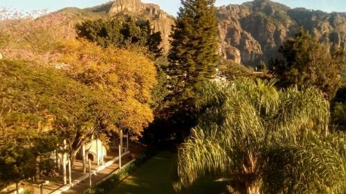 Hotel Quinta Del Sol