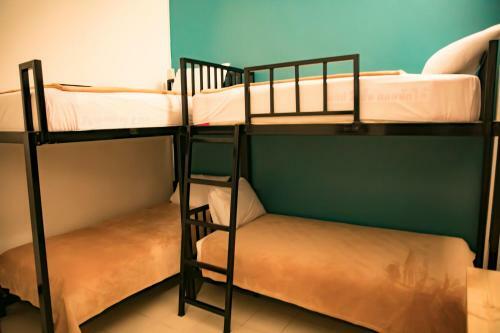 Pvo Hostel