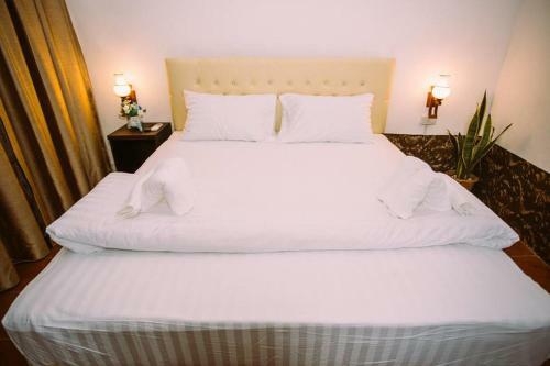 Green Box Capsule Hostel & Hotel