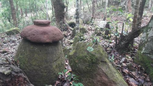 Site 52 - Ban Pakeo & Home Stay ( Full Board)